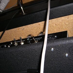 CIMG1543 (Large).JPG