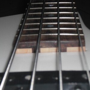 Griffbrett Eigenbau.JPG