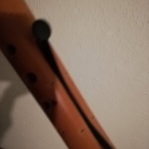 IMG_20190130_213518.jpg