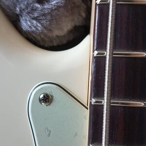 WhatsApp Image 2019-02-26 at 16.48.22.jpeg