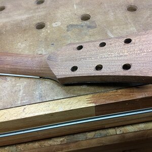 Babysnakes_SG_124 (2).jpg