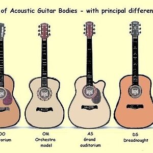 acoustic_guitar_body_types.jpg