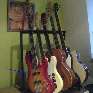Bass1.jpg