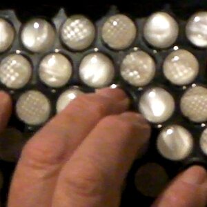 Morino Knopfriffelung.jpg