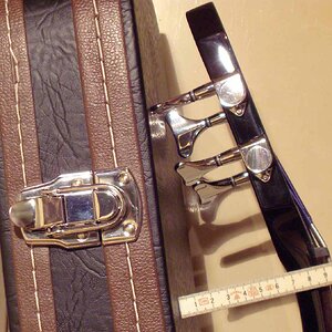 Eastwood head side_s.jpg