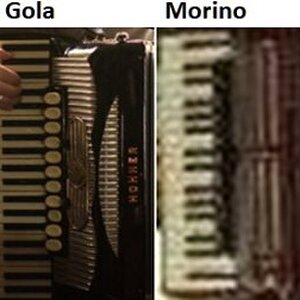 Tastenakkordeons div.jpg