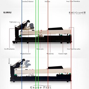 Kawai Grand Feel Actions.jpg