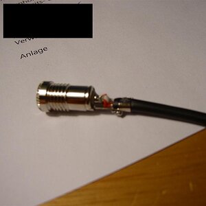 P1010010 (Large).JPG