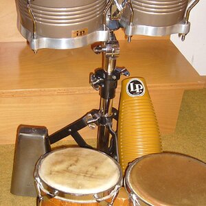 Bongos 2008_915x1627.JPG