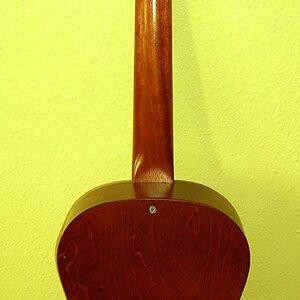 gitarre hinten.jpg