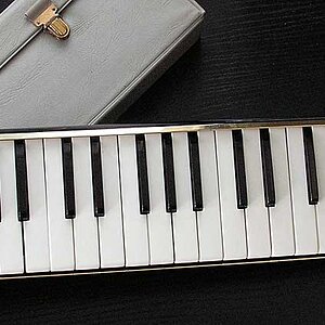 Hohner Melodic Piano 36.jpg