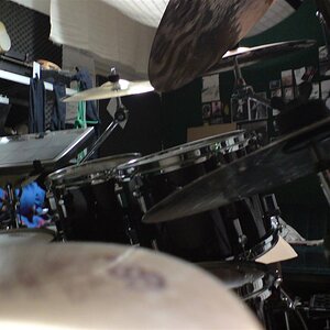 DSC01493 (Large).JPG