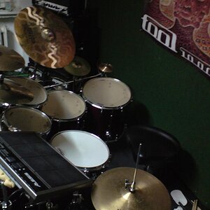 DSC01498 (Large).JPG