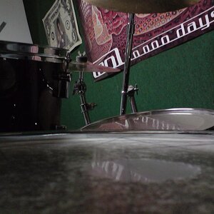 DSC01273 (Large).JPG