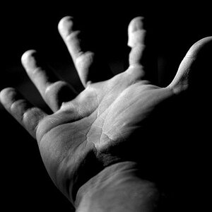 hand-and-fead.jpg