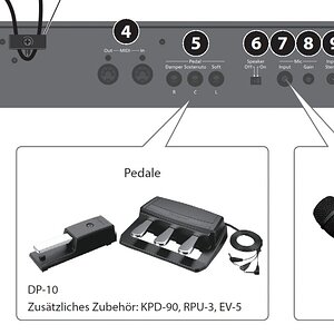 Roland FP90 Pedale.jpg