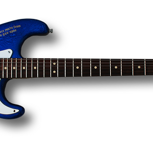 bernies_guitar.png