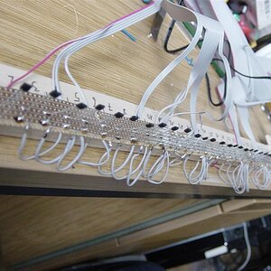 DSC01857 (Large).JPG