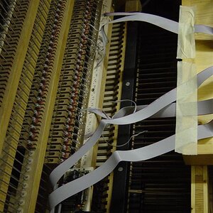 DSC01869 (Large).JPG