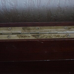 DSC03071 (Custom).JPG