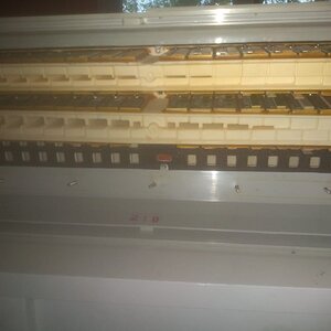 WhatsApp Image 2021-05-16 at 19.18.11.jpeg