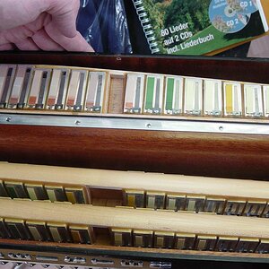 DSC00312 (Large).JPG