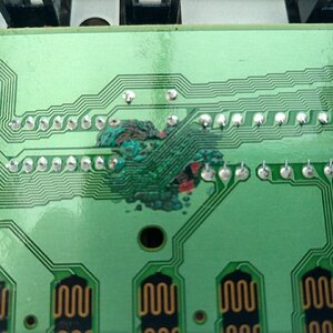 Korg SP 250 Pl - 1.jpg