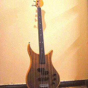 Fretless.jpg