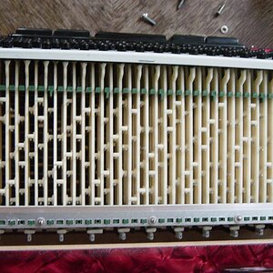 DSC00561 (Large).JPG