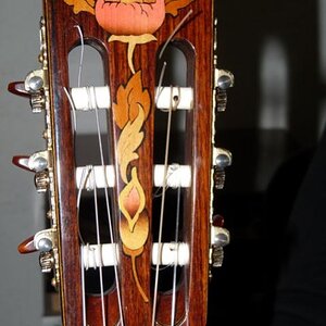 Magic Flower kah.jpg