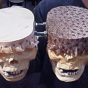 SkullBongos.jpg