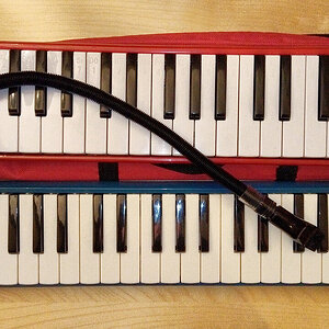 Hohner Student 3_s.jpg