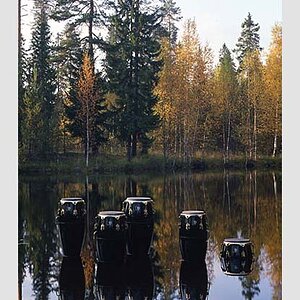 congas in finnischem see.jpg