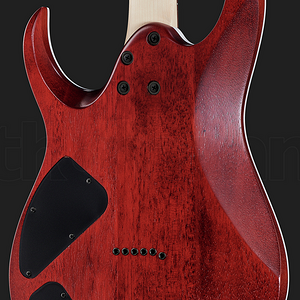 Screenshot 2022-06-01 at 21-38-42 Ibanez RGA42FM-TGF.png