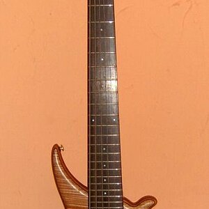 Tune TWB 6-string bass_01_small.jpg