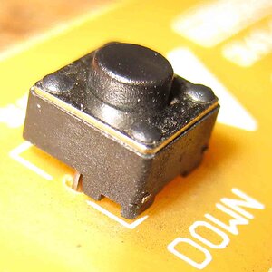 Taster G2.1u (2).jpg