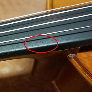 Yamaha VG20 Griffbrett_cut.jpg