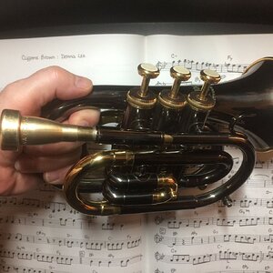 Taschentrompete Transporthaltung.jpg