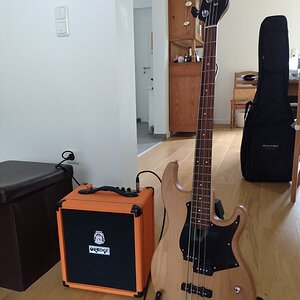 bass.jpg