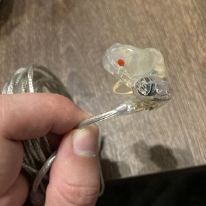 IMG_2434.jpeg