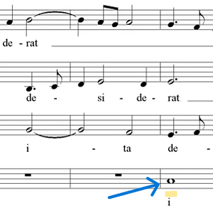 Sicut cervus-Auszug.png