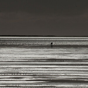 Am Meer komp..jpg
