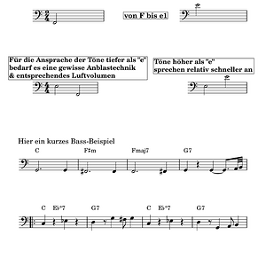 Melodica Bass- Tonumpfang_III-1.png