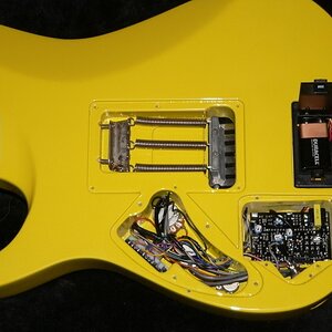 RGT mit Sustainer HN 2.jpg