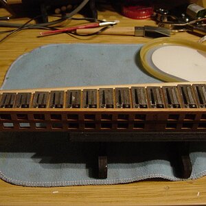 DSC01148 (Large).JPG