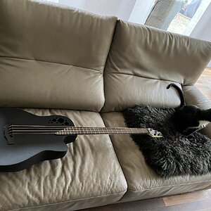 Ovation Bass29.JPG