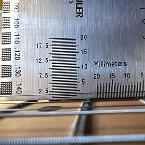 WhatsApp Image 2024-03-04 at 08.26.58.jpeg