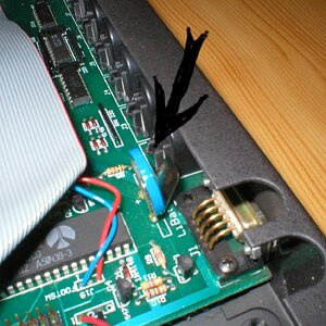 Kopie von P1010002.jpg