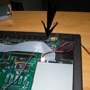 Kopie von P1010004.jpg