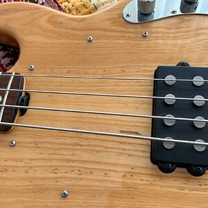 MM Stingray Pickup.jpg